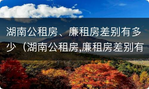 湖南公租房、廉租房差别有多少（湖南公租房,廉租房差别有多少套）