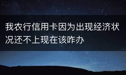 我农行信用卡因为出现经济状况还不上现在该咋办