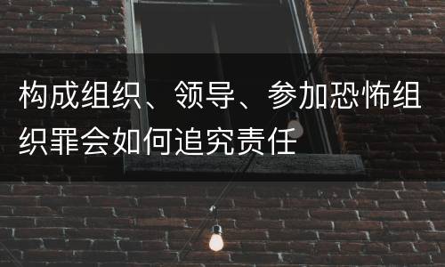 构成组织、领导、参加恐怖组织罪会如何追究责任