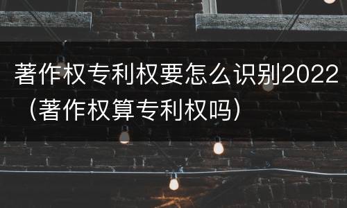 著作权专利权要怎么识别2022（著作权算专利权吗）