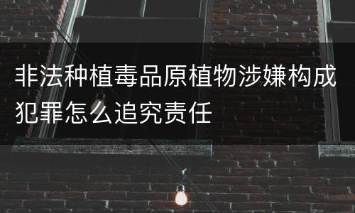 非法种植毒品原植物涉嫌构成犯罪怎么追究责任