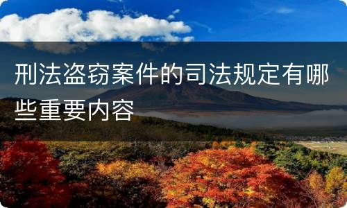 刑法盗窃案件的司法规定有哪些重要内容