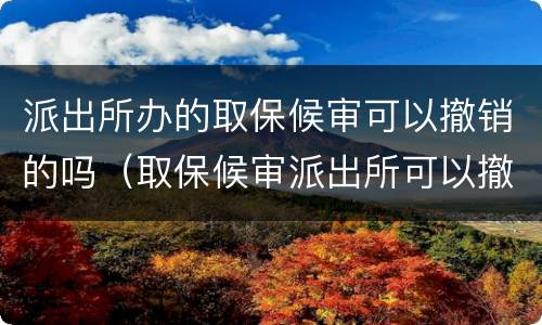 派出所办的取保候审可以撤销的吗（取保候审派出所可以撤案吗）