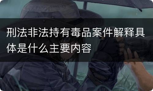 刑法非法持有毒品案件解释具体是什么主要内容