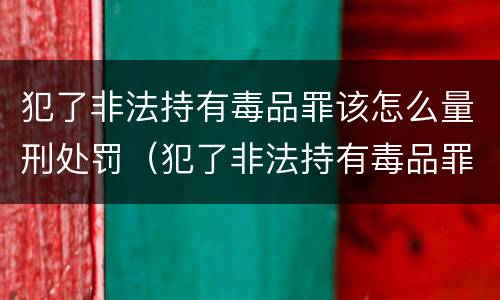 犯了非法持有毒品罪该怎么量刑处罚（犯了非法持有毒品罪该怎么量刑处罚）
