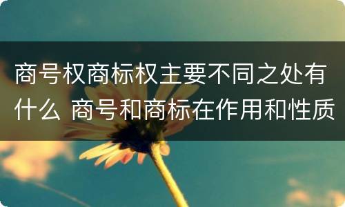 商号权商标权主要不同之处有什么 商号和商标在作用和性质上的区别