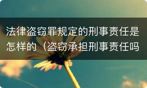 法律盗窃罪规定的刑事责任是怎样的（盗窃承担刑事责任吗）