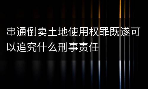 串通倒卖土地使用权罪既遂可以追究什么刑事责任