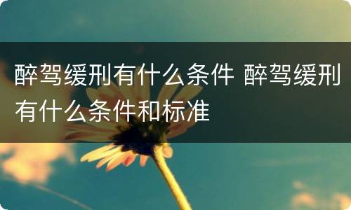 醉驾缓刑有什么条件 醉驾缓刑有什么条件和标准