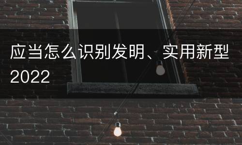 应当怎么识别发明、实用新型2022