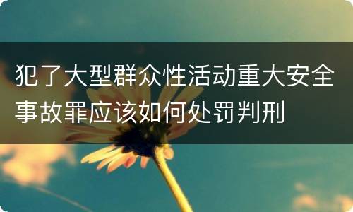 犯了大型群众性活动重大安全事故罪应该如何处罚判刑