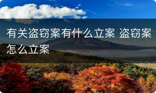 有关盗窃案有什么立案 盗窃案怎么立案
