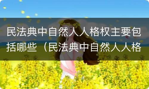 民法典中自然人人格权主要包括哪些（民法典中自然人人格权主要包括哪些方面）