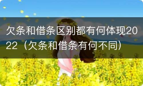 欠条和借条区别都有何体现2022（欠条和借条有何不同）