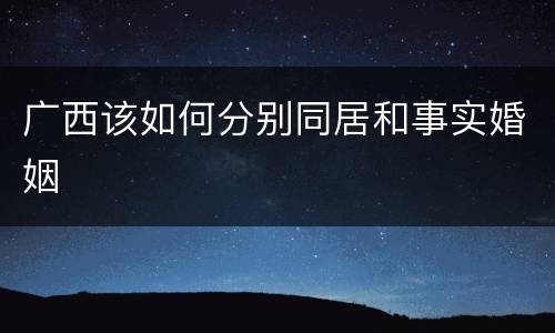 广西该如何分别同居和事实婚姻