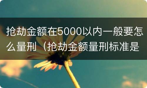 抢劫金额在5000以内一般要怎么量刑（抢劫金额量刑标准是多少）