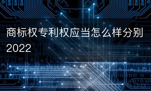 商标权专利权应当怎么样分别2022