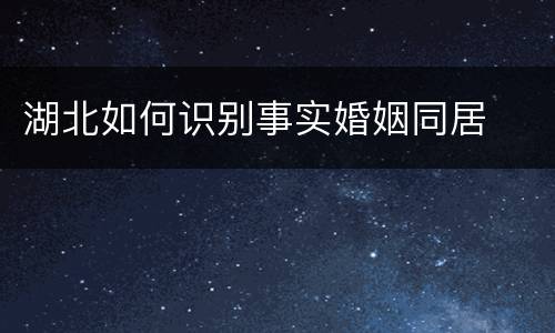 湖北如何识别事实婚姻同居