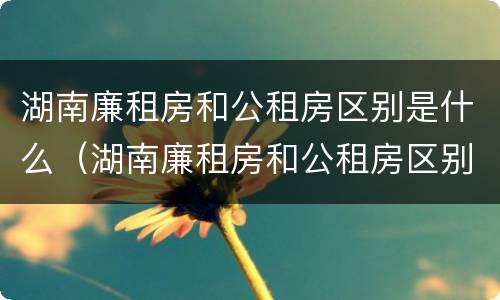 湖南廉租房和公租房区别是什么（湖南廉租房和公租房区别是什么呢）