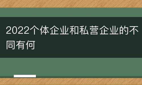 2022个体企业和私营企业的不同有何