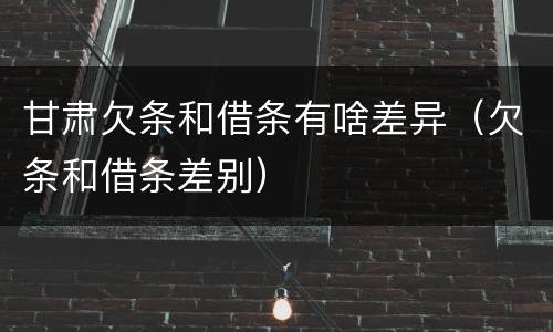 甘肃欠条和借条有啥差异（欠条和借条差别）