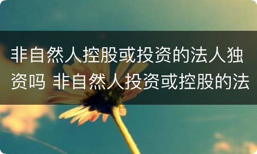 非自然人控股或投资的法人独资吗 非自然人投资或控股的法人独资属于什么控股