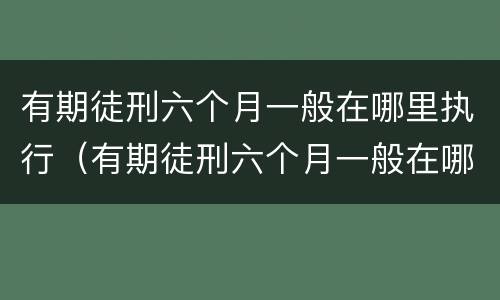有期徒刑六个月一般在哪里执行（有期徒刑六个月一般在哪里执行呢）