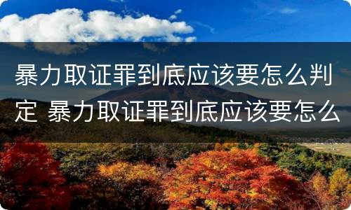 暴力取证罪到底应该要怎么判定 暴力取证罪到底应该要怎么判定呢