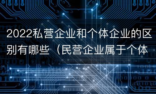 2022私营企业和个体企业的区别有哪些（民营企业属于个体经济还是私营经济）