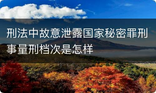 刑法中故意泄露国家秘密罪刑事量刑档次是怎样