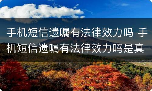 手机短信遗嘱有法律效力吗 手机短信遗嘱有法律效力吗是真的吗