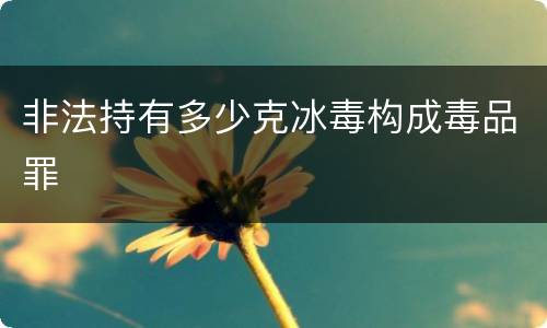 非法持有多少克冰毒构成毒品罪