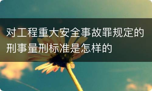 对工程重大安全事故罪规定的刑事量刑标准是怎样的