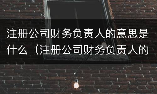 注册公司财务负责人的意思是什么（注册公司财务负责人的意思是什么呀）