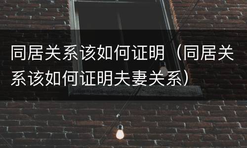 同居关系该如何证明（同居关系该如何证明夫妻关系）