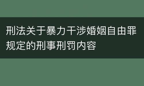 刑法关于暴力干涉婚姻自由罪规定的刑事刑罚内容