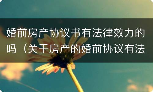 婚前房产协议书有法律效力的吗（关于房产的婚前协议有法律效力吗）
