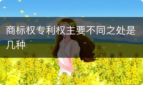 商标权专利权主要不同之处是几种