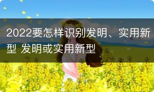 2022要怎样识别发明、实用新型 发明或实用新型