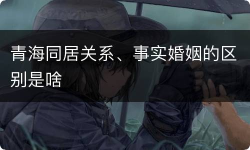 青海同居关系、事实婚姻的区别是啥