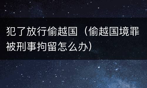 犯了放行偷越国（偷越国境罪被刑事拘留怎么办）