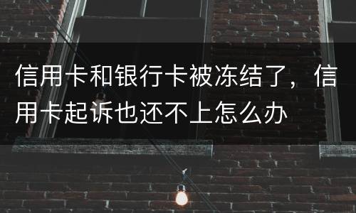 信用卡和银行卡被冻结了，信用卡起诉也还不上怎么办