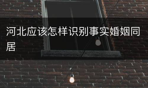 河北应该怎样识别事实婚姻同居