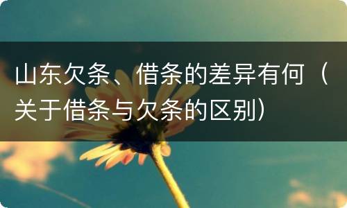 山东欠条、借条的差异有何（关于借条与欠条的区别）