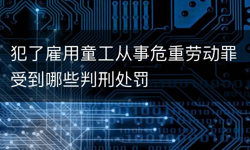 犯了雇用童工从事危重劳动罪受到哪些判刑处罚
