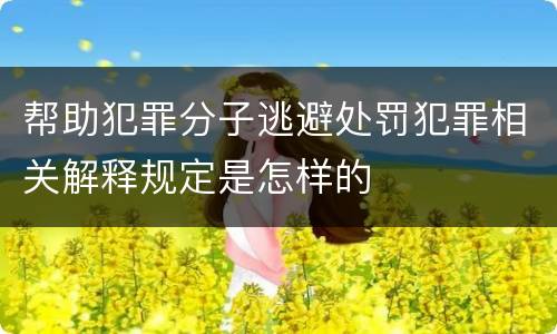 帮助犯罪分子逃避处罚犯罪相关解释规定是怎样的