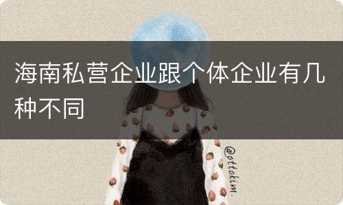 海南私营企业跟个体企业有几种不同