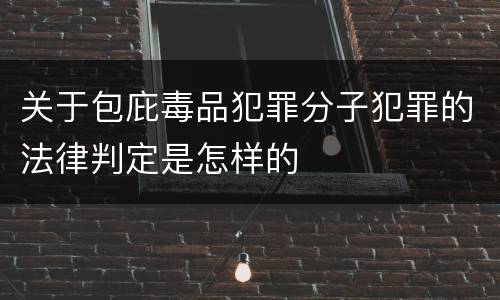 关于包庇毒品犯罪分子犯罪的法律判定是怎样的
