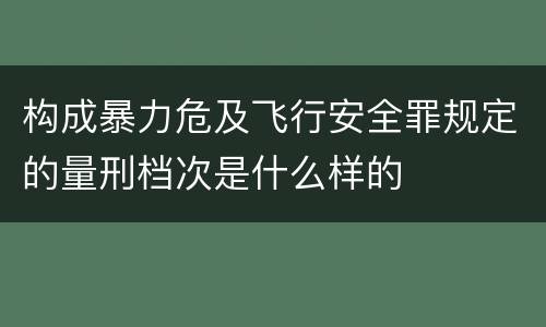 构成暴力危及飞行安全罪规定的量刑档次是什么样的