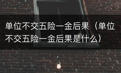 单位不交五险一金后果（单位不交五险一金后果是什么）